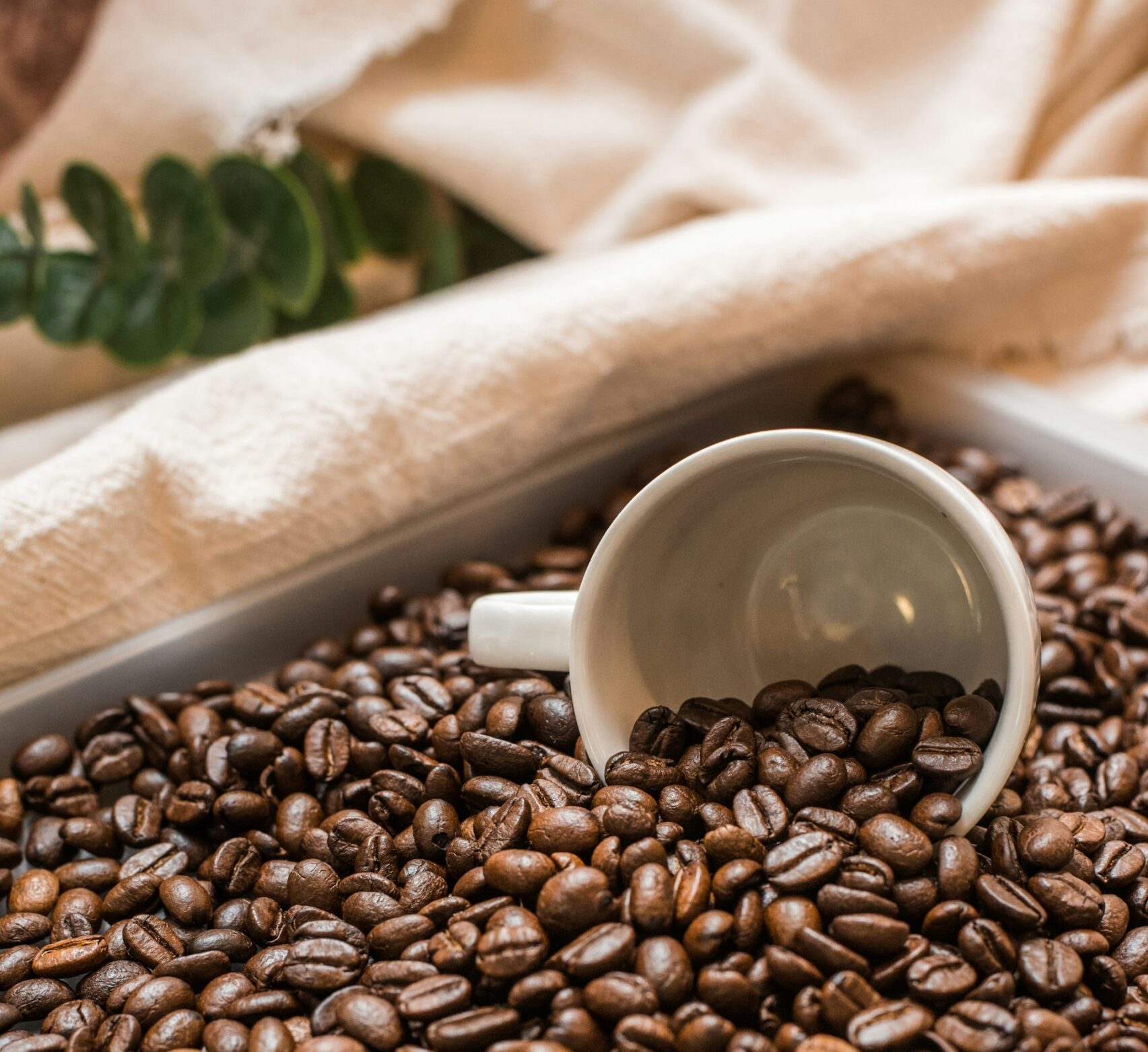 Premium Colombian Coffee Beans